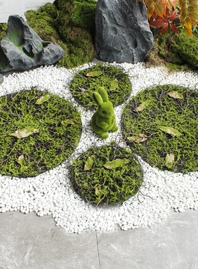 造景装饰高仿真草垫子