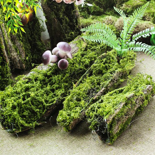 可插花和多肉适合多场景造景搭配