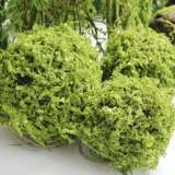 Симуляция трава шарик декоративный садовый ландшафтный ландшафт Зеленый растение Труп угловой коридор пустая подвеска подвеска цветочного искусства