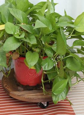 带万向轮子的可移动花托大花盆底座垫滚轮托盘移动万向轮客厅家用