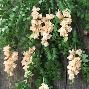 仿真灯笼吊兰绿植塑料假花藤条装饰花藤垂吊壁挂植物室内室外摆设