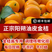 正宗广西阳朔金桔油皮金桔鲜果直发桂林老品种新鲜金橘黄皮金桔酱