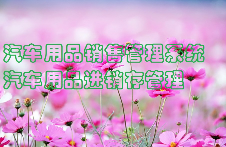 汽车用品销售管理系统软件进销存仓库出入库商品财务客户管理