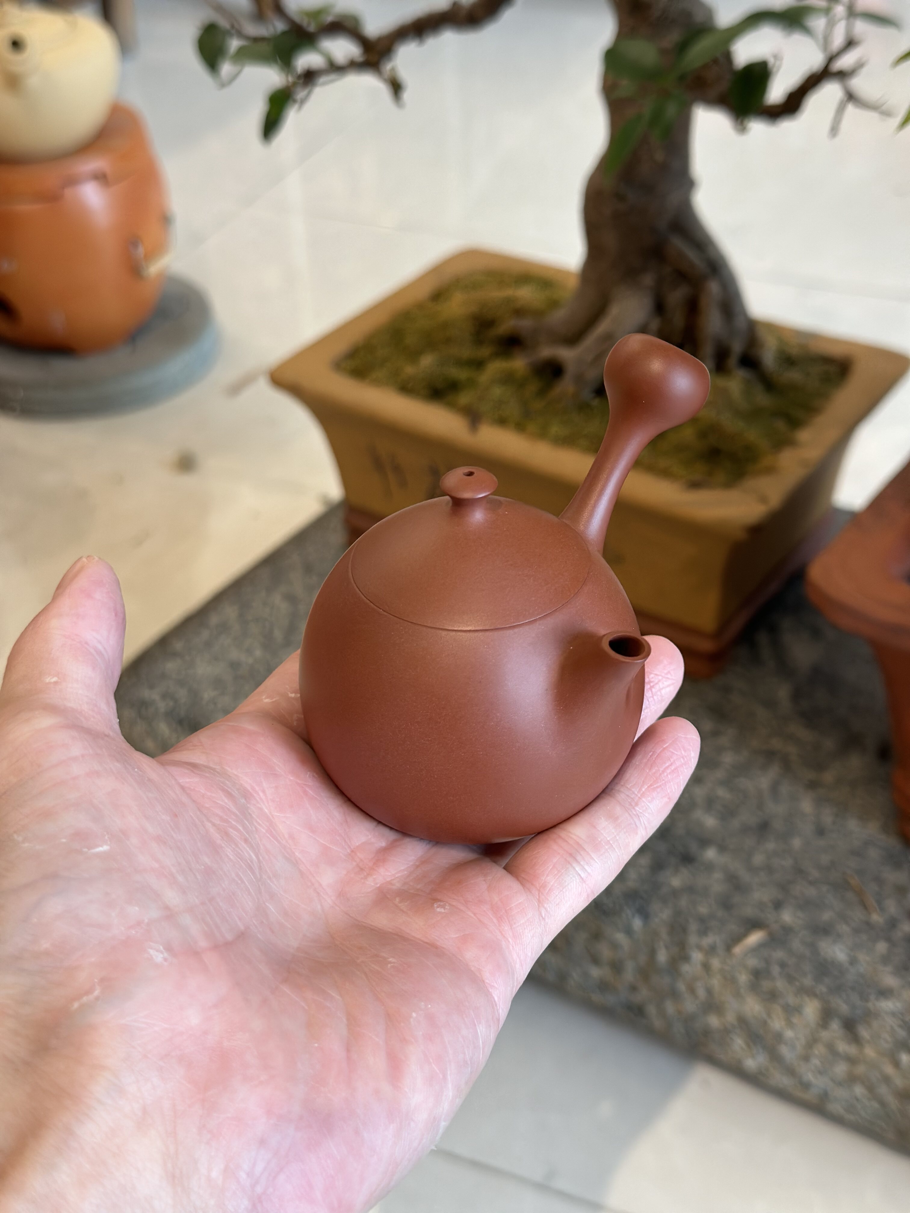 邱桂彪侧把龙蛋壶 朱泥手拉壶 潮州功夫壶壶 福临香坊手工紫砂壶