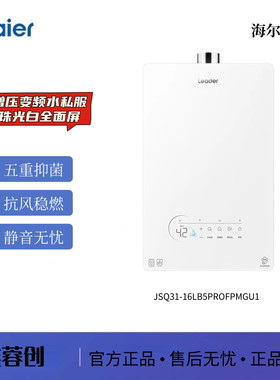 Leader/统帅 智家出品下置风机16升燃气热水器密闭稳燃舱 LB5PRO