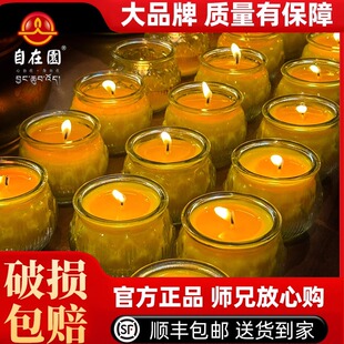 自在园酥油灯24小时平口莲花供佛灯家用无烟无味蜡烛整箱顺丰包邮