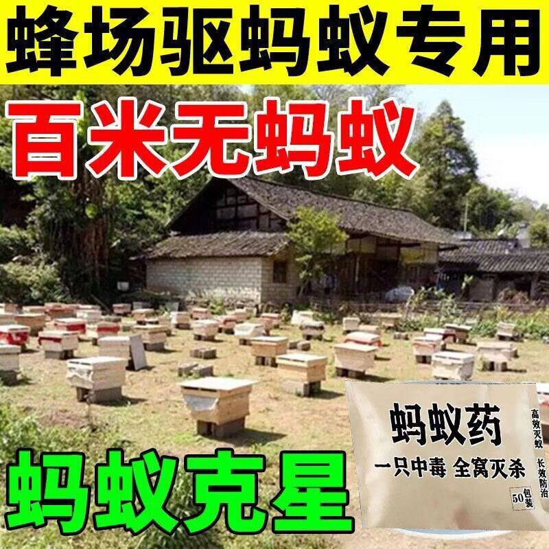 蜂场专用蚂蚁药强力驱赶蜂箱蚂蚁蟑螂特校一锅端野外灭蚂蚁神器