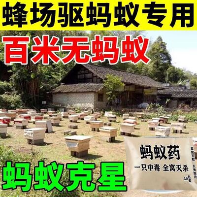 蜂场专用蚂蚁药强力驱赶蜂箱蚂蚁蟑螂特校一锅端野外灭蚂蚁神器