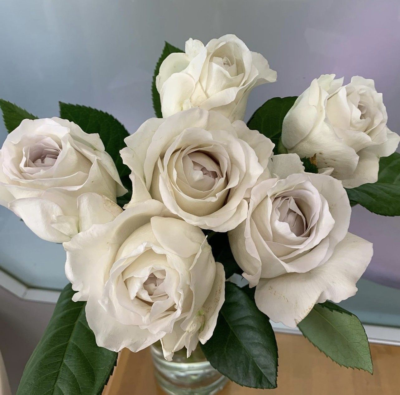 日月银河珍珠/珍珠牛奶/珍珠奶茶 月季花苗 切花多季庭院阳台栽植,鲜花速递/花卉仿真/绿植园艺,月季/蔷薇/玫瑰,淘宝优惠券,粉丝福利购,淘宝优惠卷