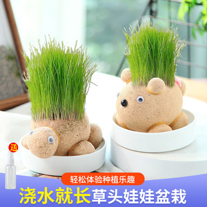 四季发芽长草娃娃小植物盆栽室内阳台抖音同款创意草头娃娃小摆件