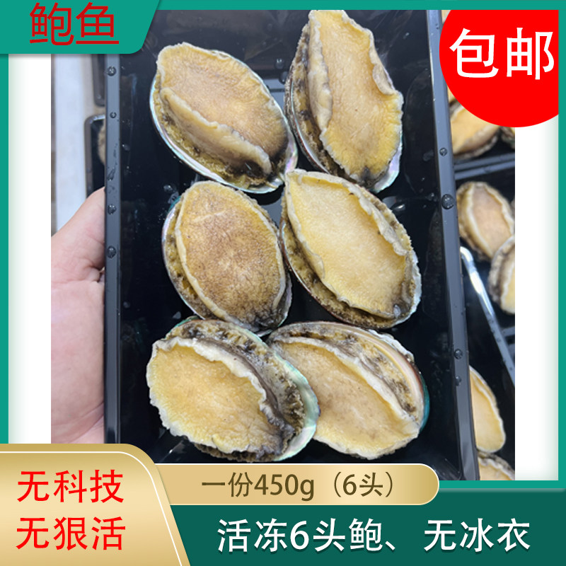 新鲜鲍鱼鲜活特大海鲜水产速冻超大捞汁生鲜鲍螺450g6头顺丰包邮
