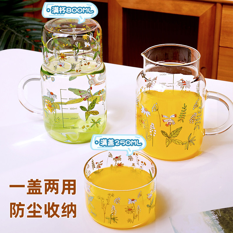 冷水壶玻璃耐高温加厚高硼凉水壶