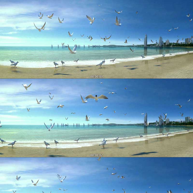 海边沙滩 蓝天白云 海浪海鸥 3D动画三维漫游城市宣传片视频素材