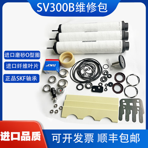 莱宝SV300B维修包叶片排气滤芯