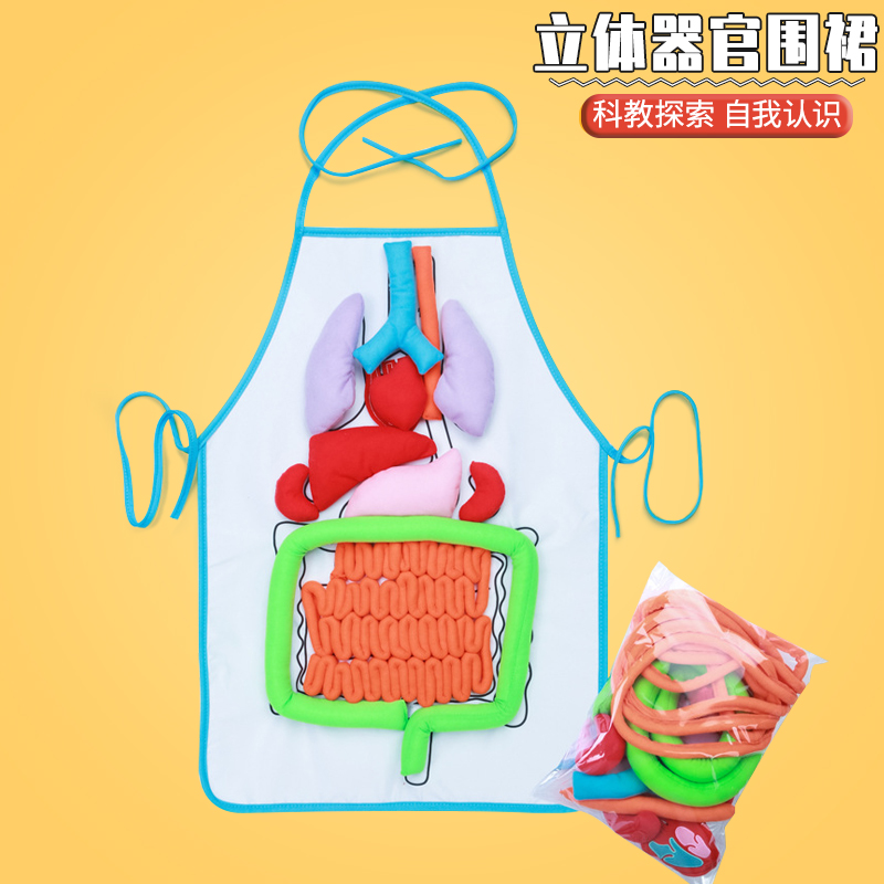 蒙特梭利内脏围裙科教区用品玩具