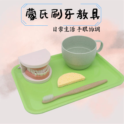蒙氏教具2岁儿童刷牙洗漱套装认识牙齿模型婴幼儿早教益智玩具
