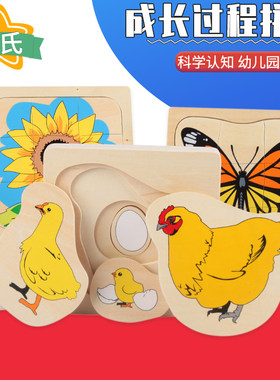 母鸡多层成长过程拼图蒙氏教具