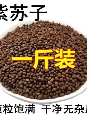 苏子 生紫苏籽 黑苏子 紫苏子 东北紫苏子中药材500g包邮
