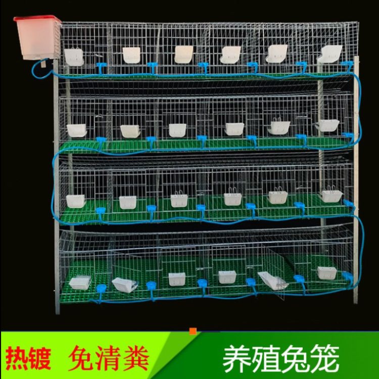 加粗加密免清粪兔笼养殖场用兔笼