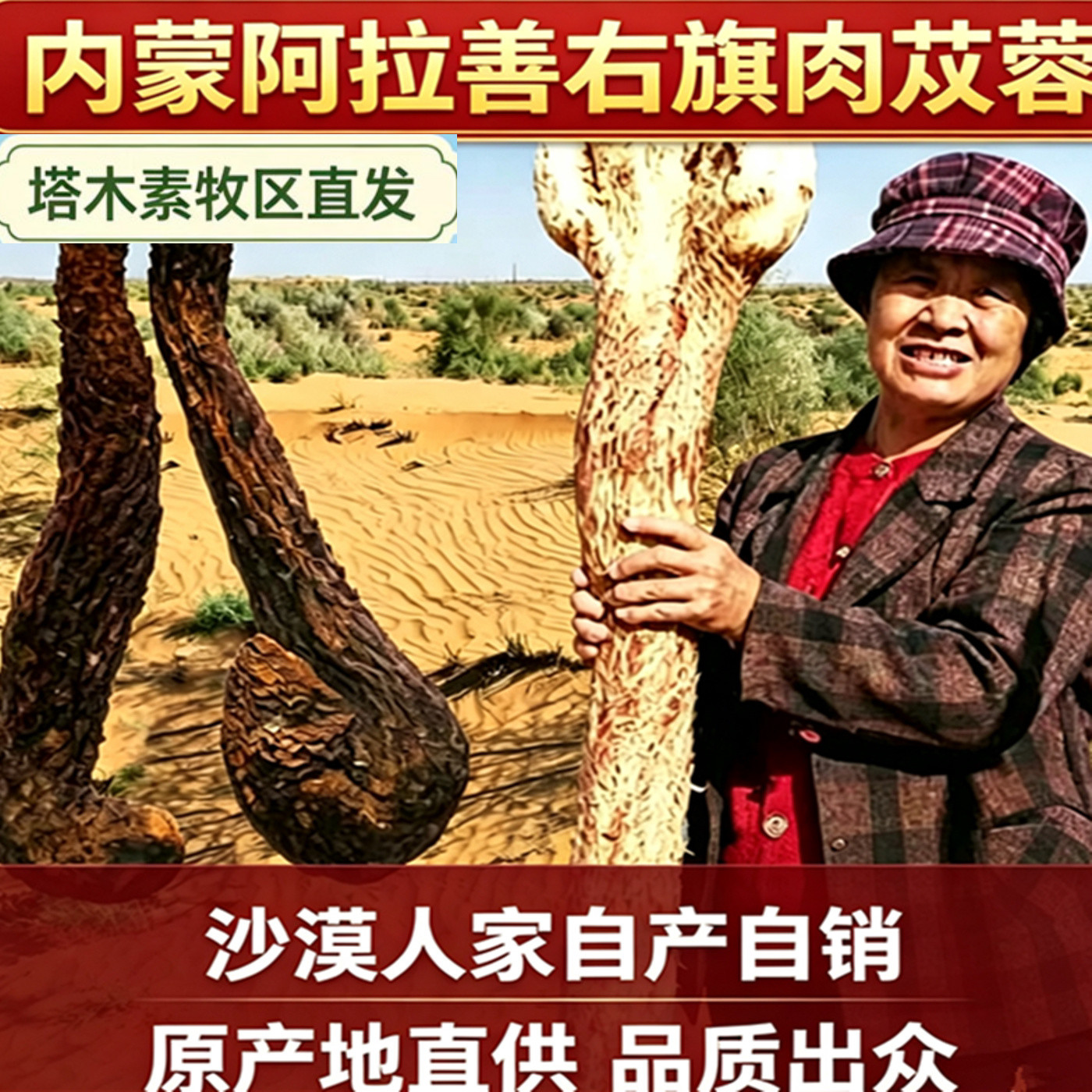 肉苁蓉阿拉善油性整根500g男性滋补泡酒汤料农家特产非特级正品