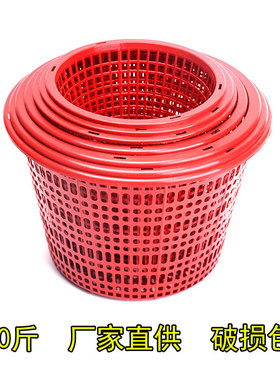 圆形草莓采摘篮塑料手提篮杨梅篮红色桑葚篮蓝莓葡萄篮1-10斤包邮