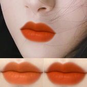 温柔显白橘色胡萝卜色口红持久保湿 不脱色不沾杯雨衣防水唇膏正品