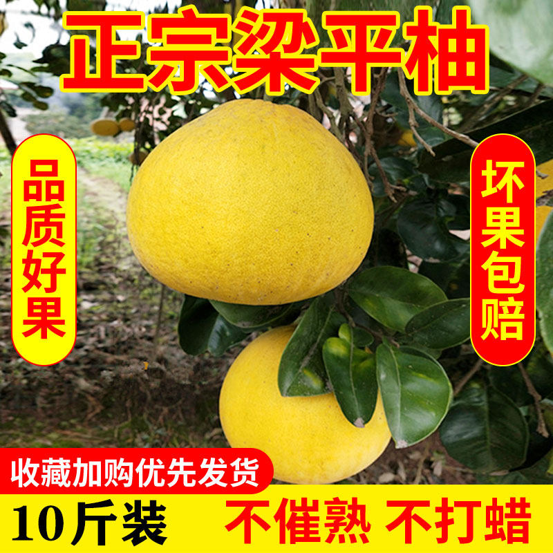 重庆特产梁平柚子新鲜水果正宗梁平柚龙滩柚名柚平顶柚10斤包邮,水产肉类/新鲜蔬果/熟食,柚子,淘宝优惠券,粉丝福利购,淘宝优惠卷
