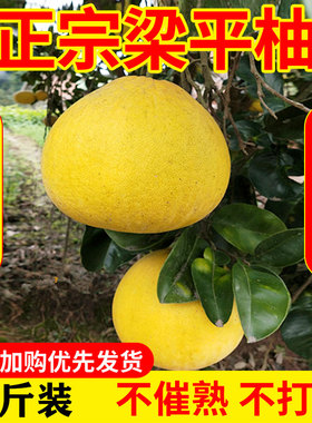 重庆特产梁平柚子新鲜水果正宗梁平柚龙滩柚名柚平顶柚10斤包邮