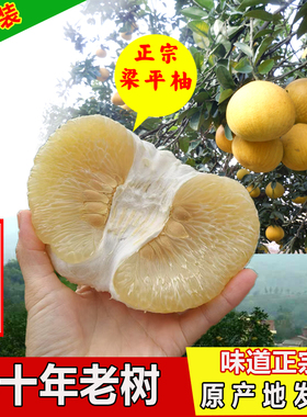 重庆梁平柚子麻柚龙滩柚平顶柚梁山柚现摘现发当季新鲜水果18斤装