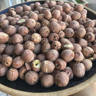 红莲子萍乡六市志春特产