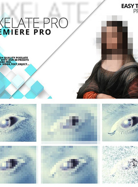 像素化马赛克打码效果PR预设 Pixelate Pro