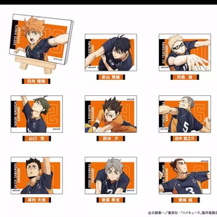 TTA 排球少年 垃圾场决战 迷你帆布板 Vol.2 乌野高校BOX日版现货