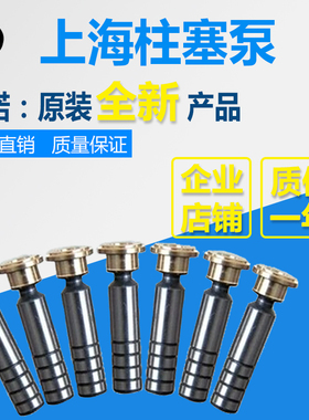 HY10/16/25/40/63/80/100/107/125/160/180/250M/S/Y-RP柱塞滑靴