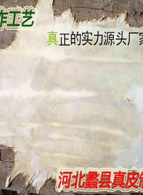 整张山羊皮/装饰皮/非洲手鼓皮/带毛羊皮鼓皮/4寸-24寸鼓皮