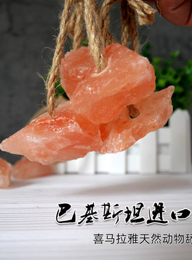 喜马拉雅牛羊舔块打洞带绳