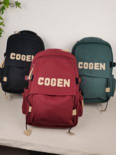 简约款双肩背包学生书包大容量休闲背包草根一族新款双肩包