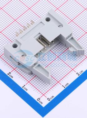 连接器 DS1011-10SBSiA7-B 插件,P=2.54mm 2x5P 牛角扣