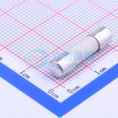 一次性保险丝 0216.100MXP D5xL20mm 原装正品 电子元器件配单