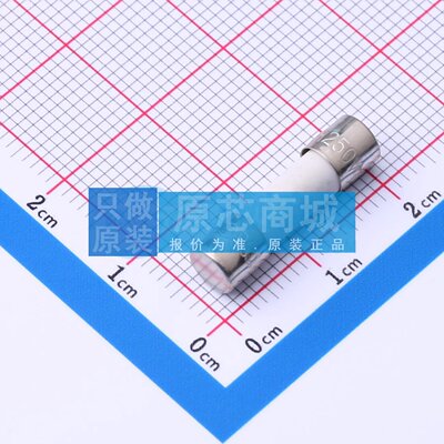 一次性保险丝 0216005.MXP D5xL20mm 原装正品 电子元器件配单
