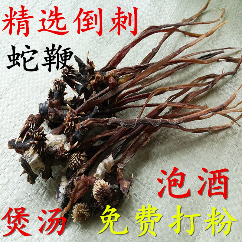 中药材 蛇干 泡酒料 倒刺蛇鞭 干蛇鞭 可搭买蛇胆 蛇头