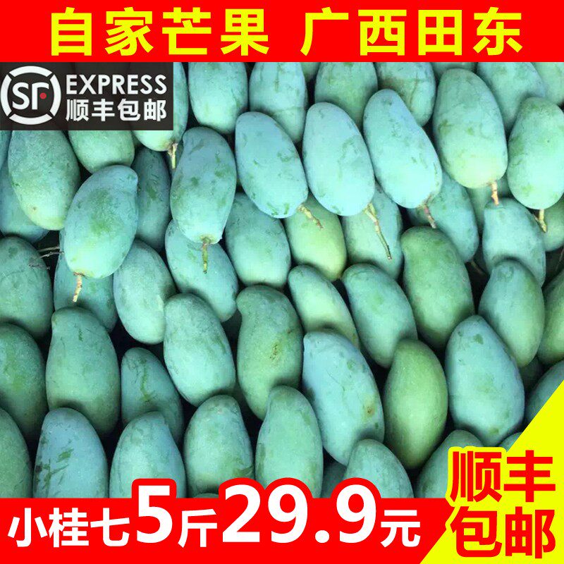 广西百色桂七芒果田东小桂芒核薄肉厚新鲜水果