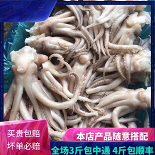 鱿鱼 鱿鱼头墨鱼 籽乌 乌贼 鱼 阿根廷鱿鱼500g 鱿鱼头 量大优惠