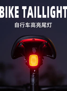ENLEE 自行车尾灯公路山地车夜间高亮防水Typee-C充电警示安全灯