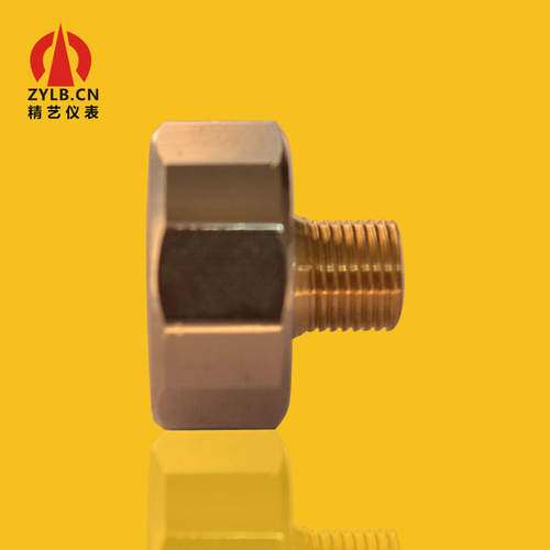 供应微压力表微型压力表迷你金刚表六角压力表Y25 60BAR工厂