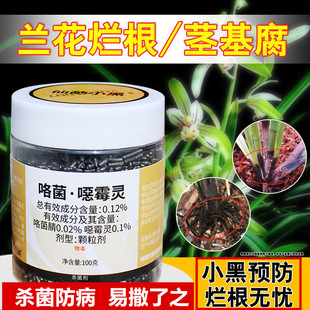 仙葩小黑药恶霉灵根腐病专用药土壤杀菌剂颗粒多肉兰花月季花黑杆