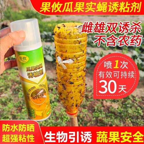 果攸蔬菜瓜果果蝇杀虫诱粘剂