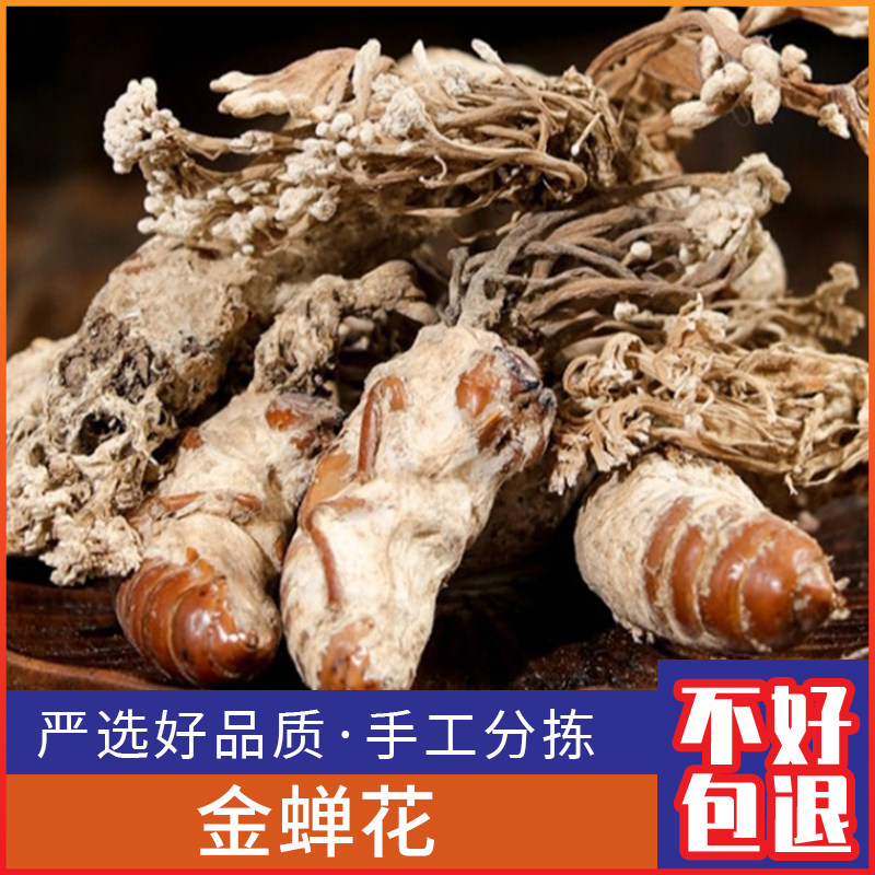 广西野生金蝉花新鲜金蝉衣 金蝉壳 金蝉皮干货包邮