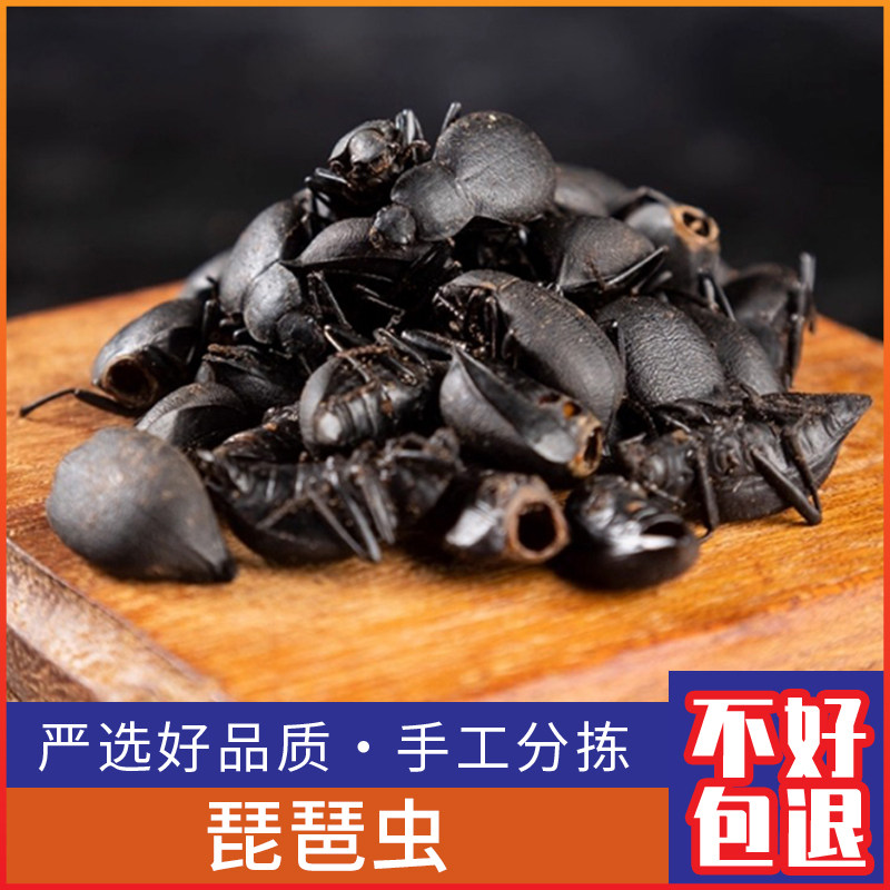 野生琵琶虫 高脚虫 臭壳子 臭屁虫喙尾琵琶甲500克干货包邮