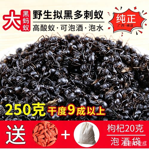 广西横县野生大黑蚂蚁干中正品拟黑多刺蚁250g养生精选泡酒料