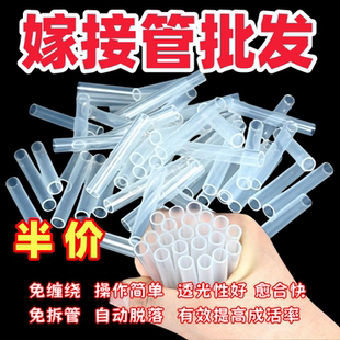 袋蔬菜育苗嫁接三角梅嫁接软管西瓜嫁接硅胶管套装 10mm套管保湿